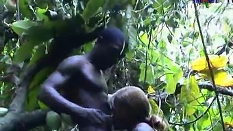 Medrasno Srečanje Z Afriško Lepotico V Francoskem Filmu