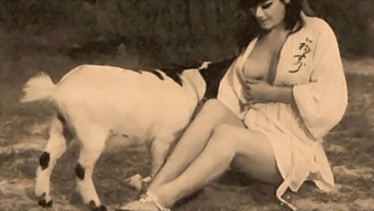 Classic Taboo: Vintage Pussy And Dog Style Sex